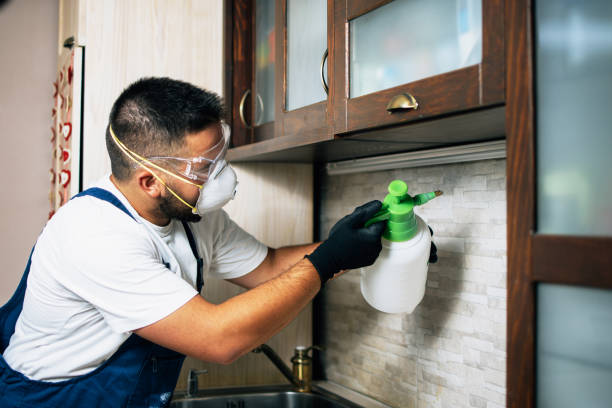 Best Pest Removal Services  in Old Hill, CT