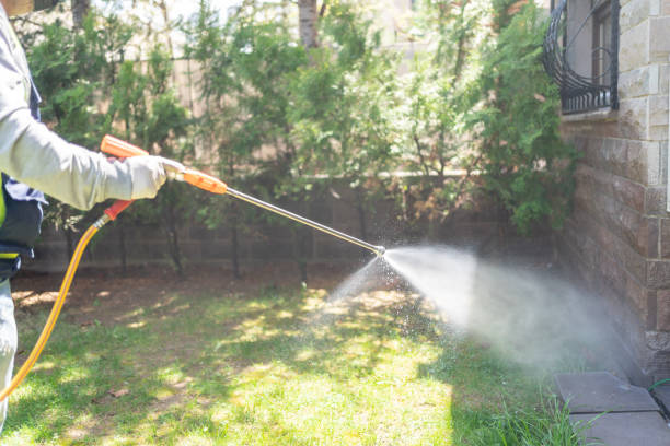 Best Mosquito Control Services  in Old Hill, CT